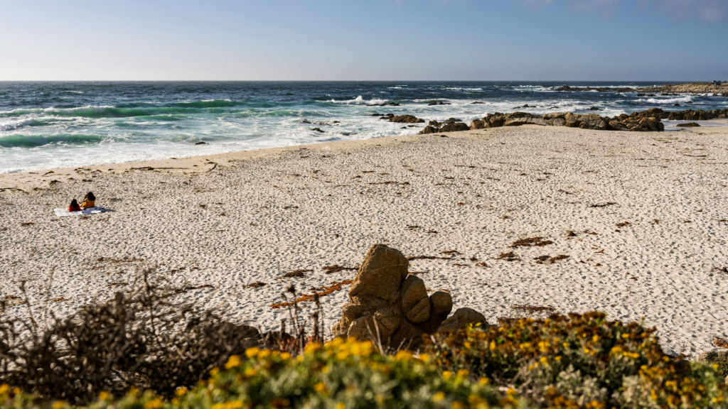 Eco-Friendly_Family_Beach_Vacations_Destinations_and_Activities_Monterey_Bay_California