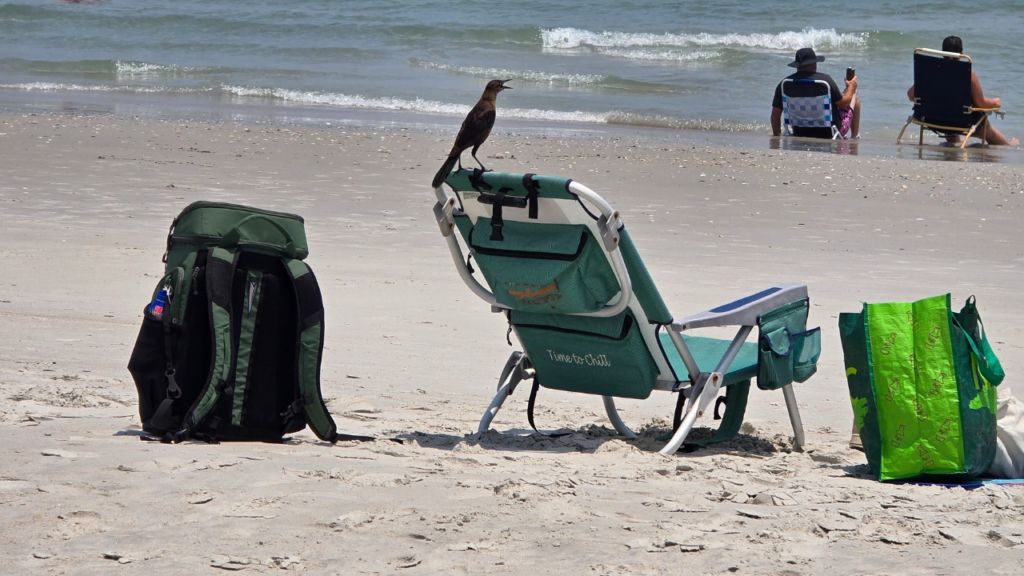 Essential_Packing_Checklist_For_a_Stress