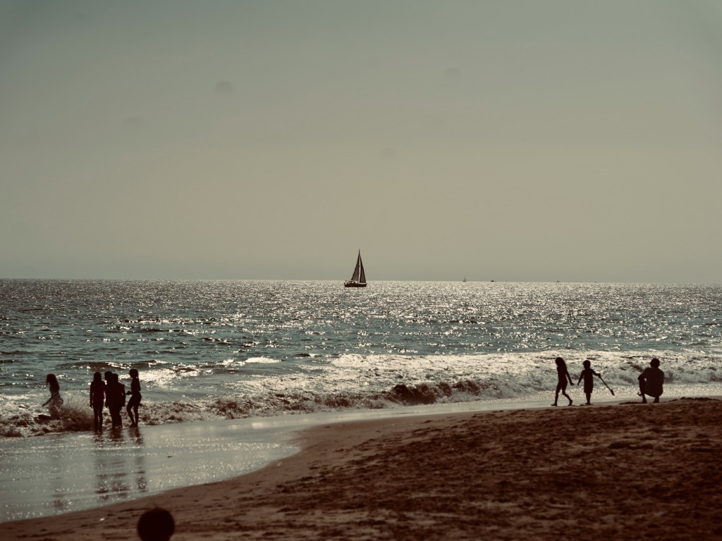 CA_Crystal_Cove_State_Park_Laguna_Beach_CA_ (Medium)
