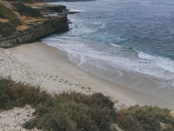 CA_La_Jolla_Tide_Pools_CA_USA (Medium)