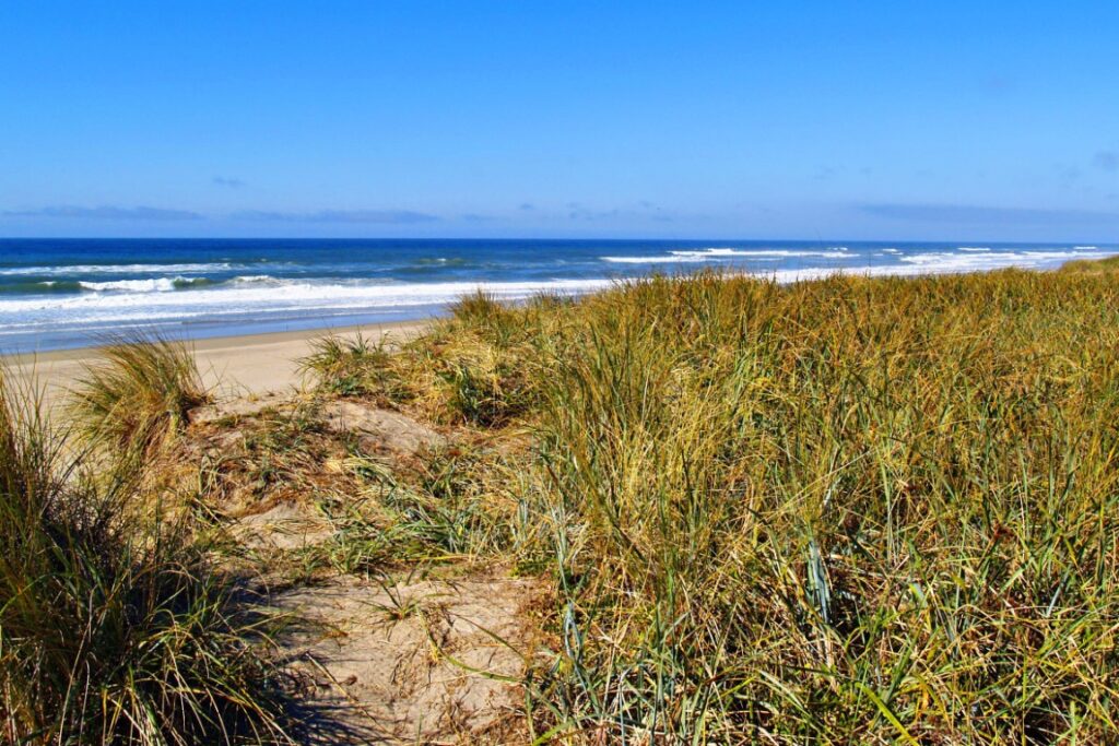 Oregon - Beverly Beach State Park