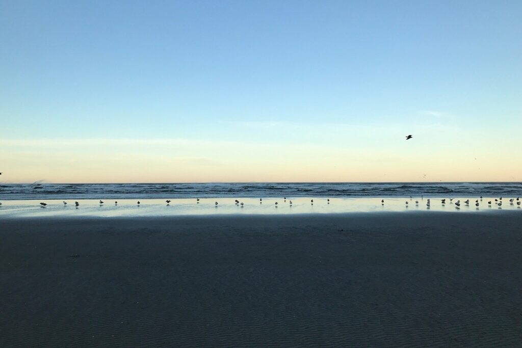 Yachats State Recreation Area_