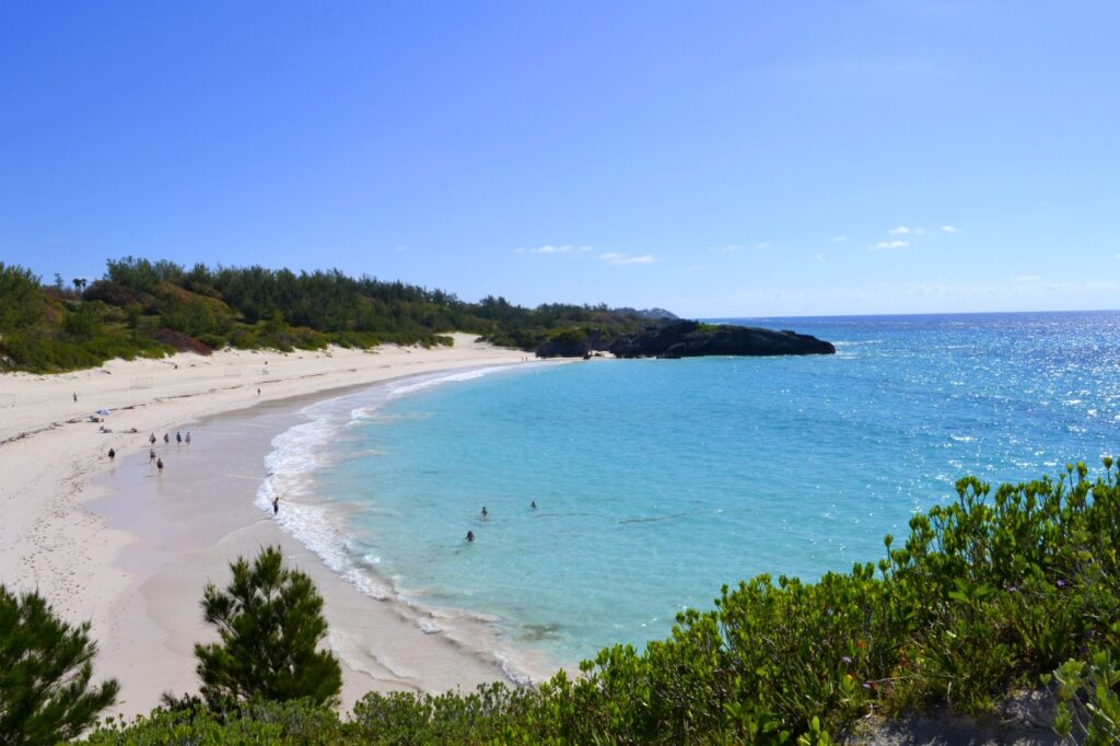 high-angle-view-of-people-on-a-beach-with-pink-sand-horseshoe-bay-bermuda-2023-11-27-04-57-55-utc (Large)
