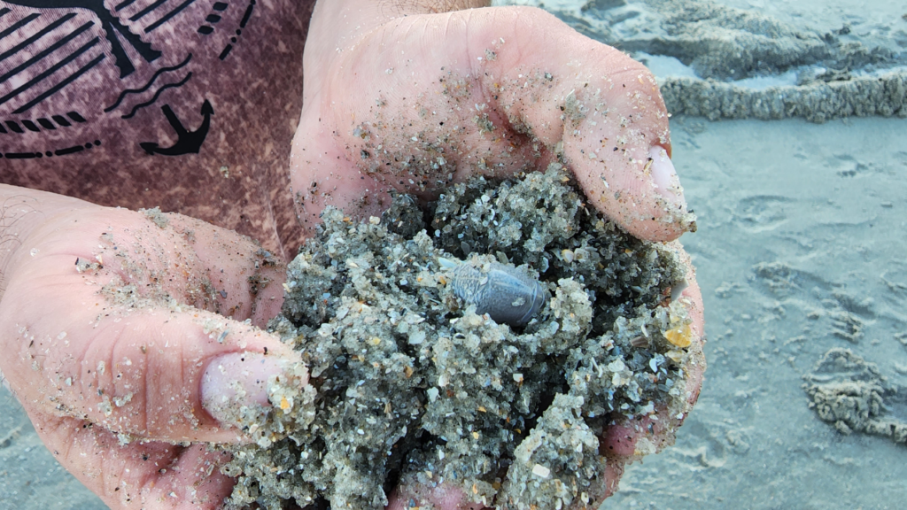 Eco-Friendly_Family_Beach_Vacations_Destinations_and_Activities_Sea_Life