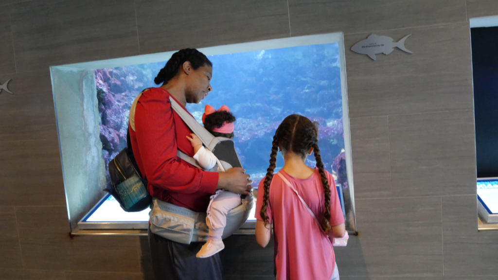 Eco-Friendly_Family_Beach_Vacations_Destinations_and_Activities_Visiting_Eco_Centers_And_Nature_Preservevs