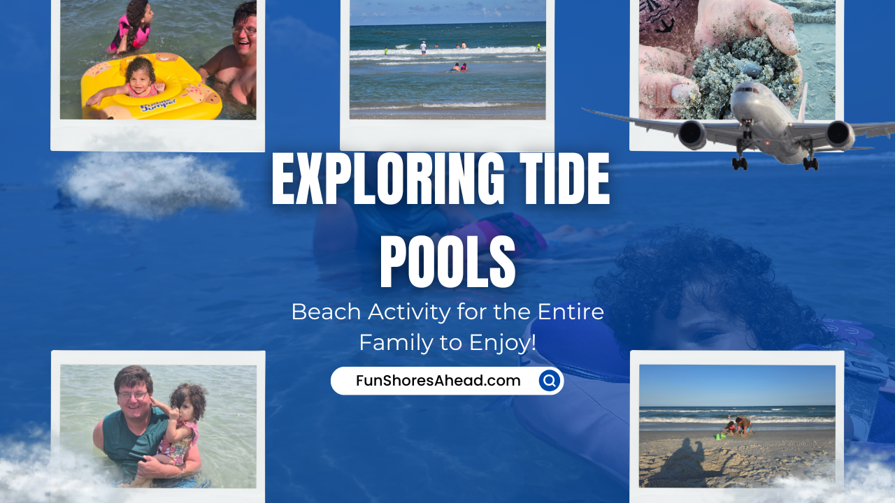 Exploring Tide Pools What To Look For And How To Enjoy Them Safely