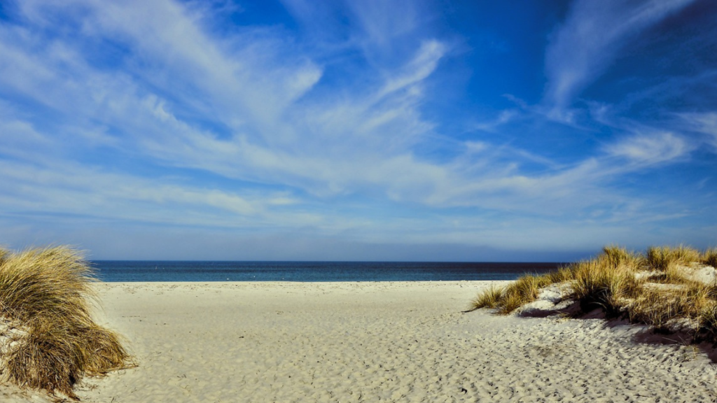 The_Best_Carolina_Beaches_for_Families_Top_10_Family-Friendly_Spots_You_Can_t_Miss