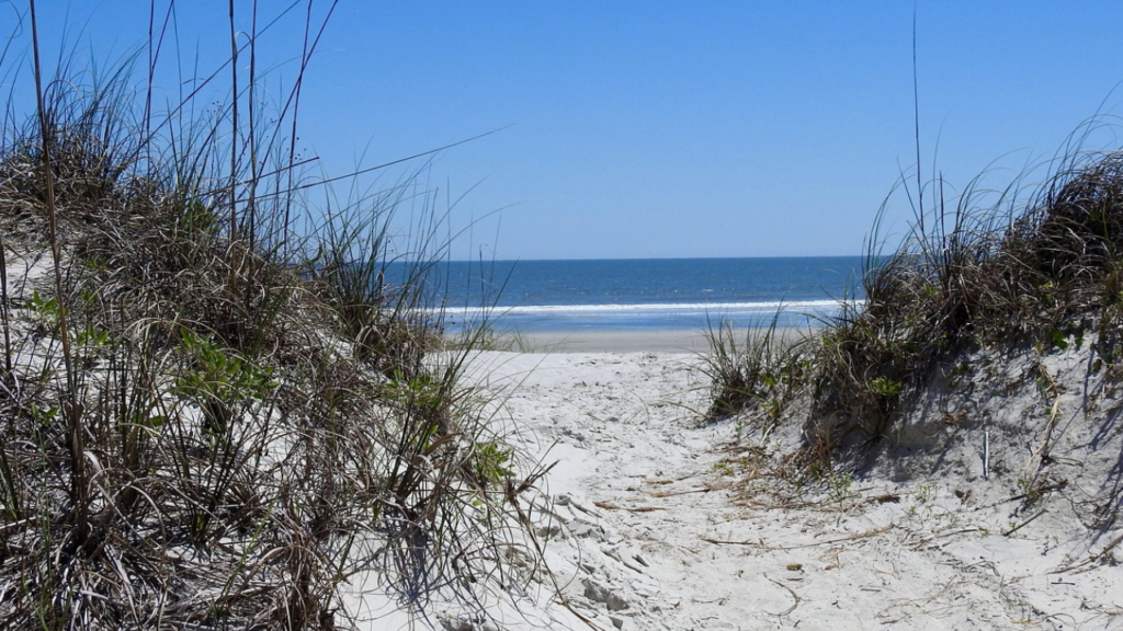The_Best_Carolina_Beaches_for_Families_Top_10_Family-Friendly_Spots_You_Can_t_Miss (3)