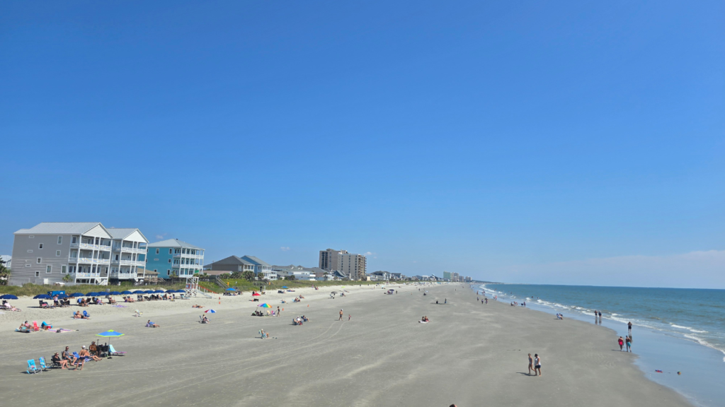 10 Eco-Friendly Beach Activities To Enjoy Without Harming Nature