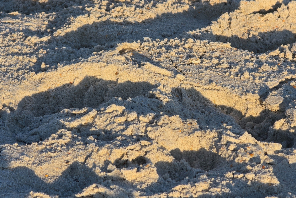 Footprints in the sand