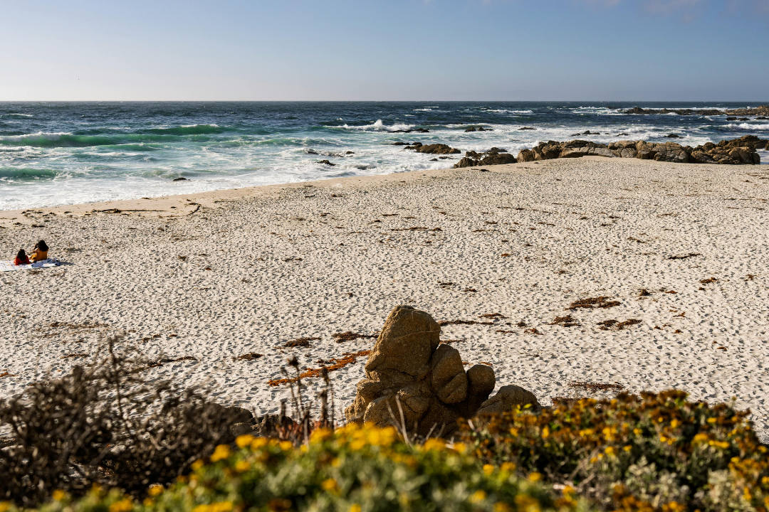 Eco-Friendly_Family_Beach_Vacations_Destinations_and_Activities_Monterey_Bay_California