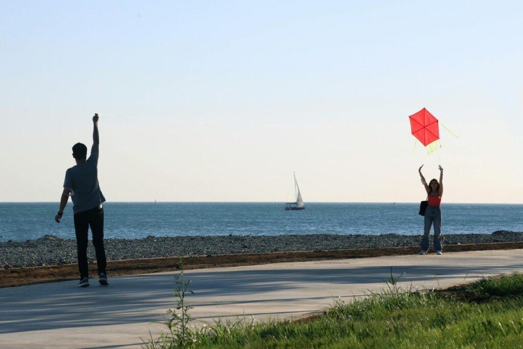 Kite_Flying_On_The_Beach (Medium)