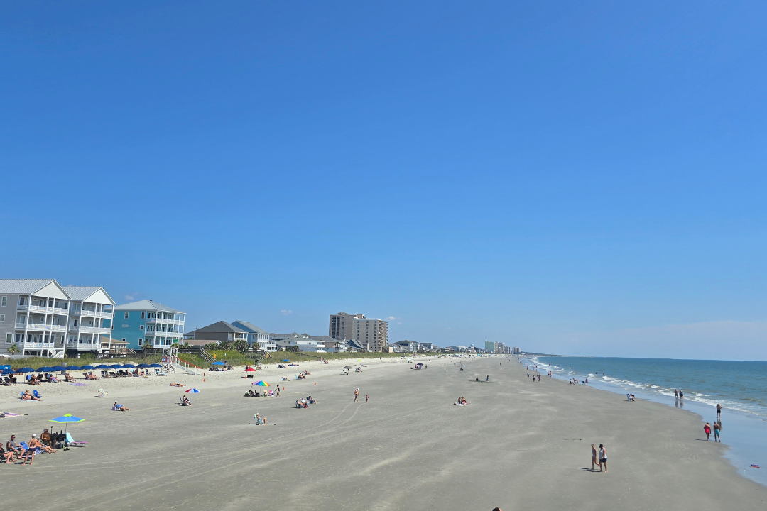 10 Eco-Friendly Beach Activities To Enjoy Without Harming Nature