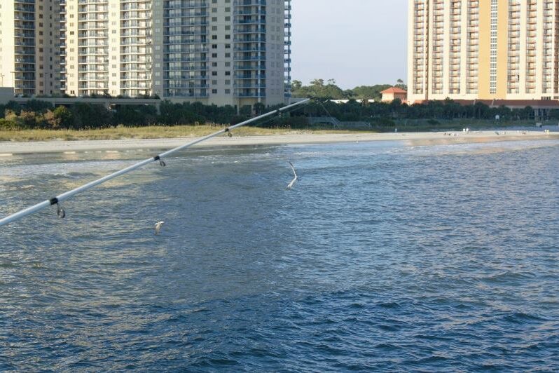 Family_Fishing_Of_Pier_At_Myrtle_Beach_Watching_Birds