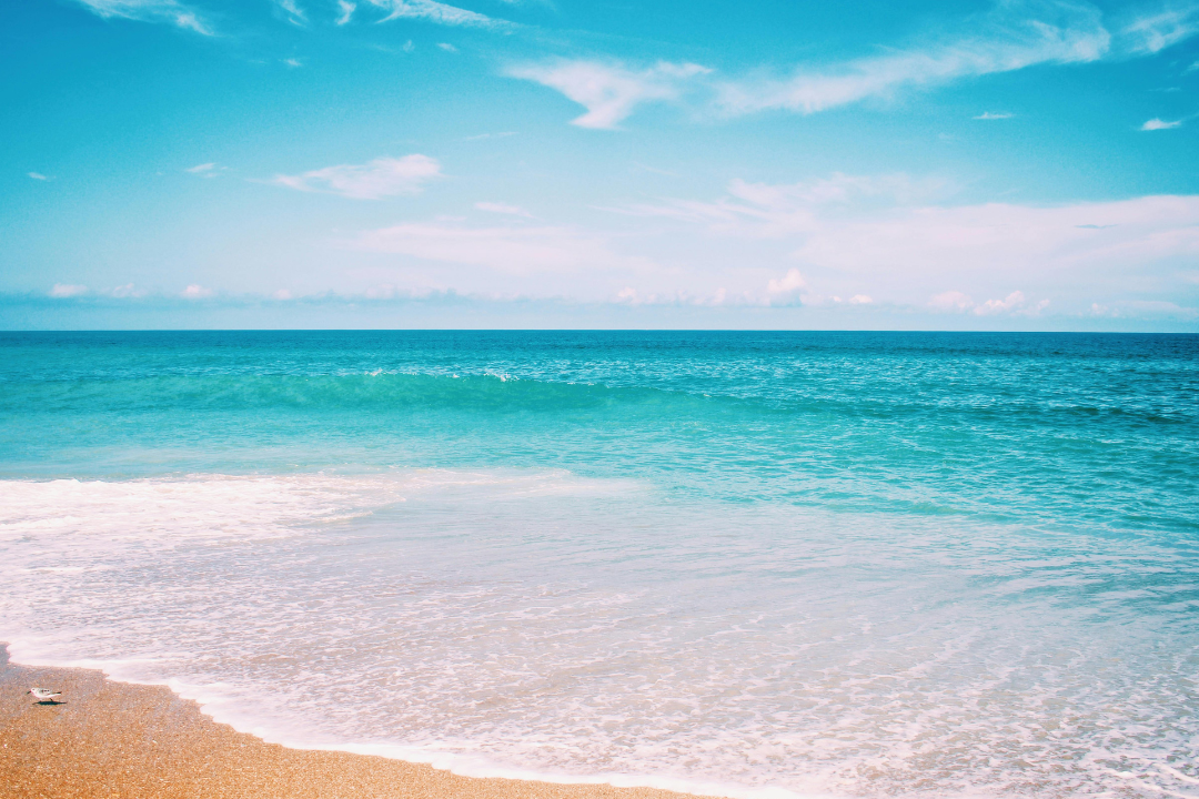 The_Best_Carolina_Beaches_for_Families_Top_10_Family-Friendly_Spots_You_Can_t_Miss